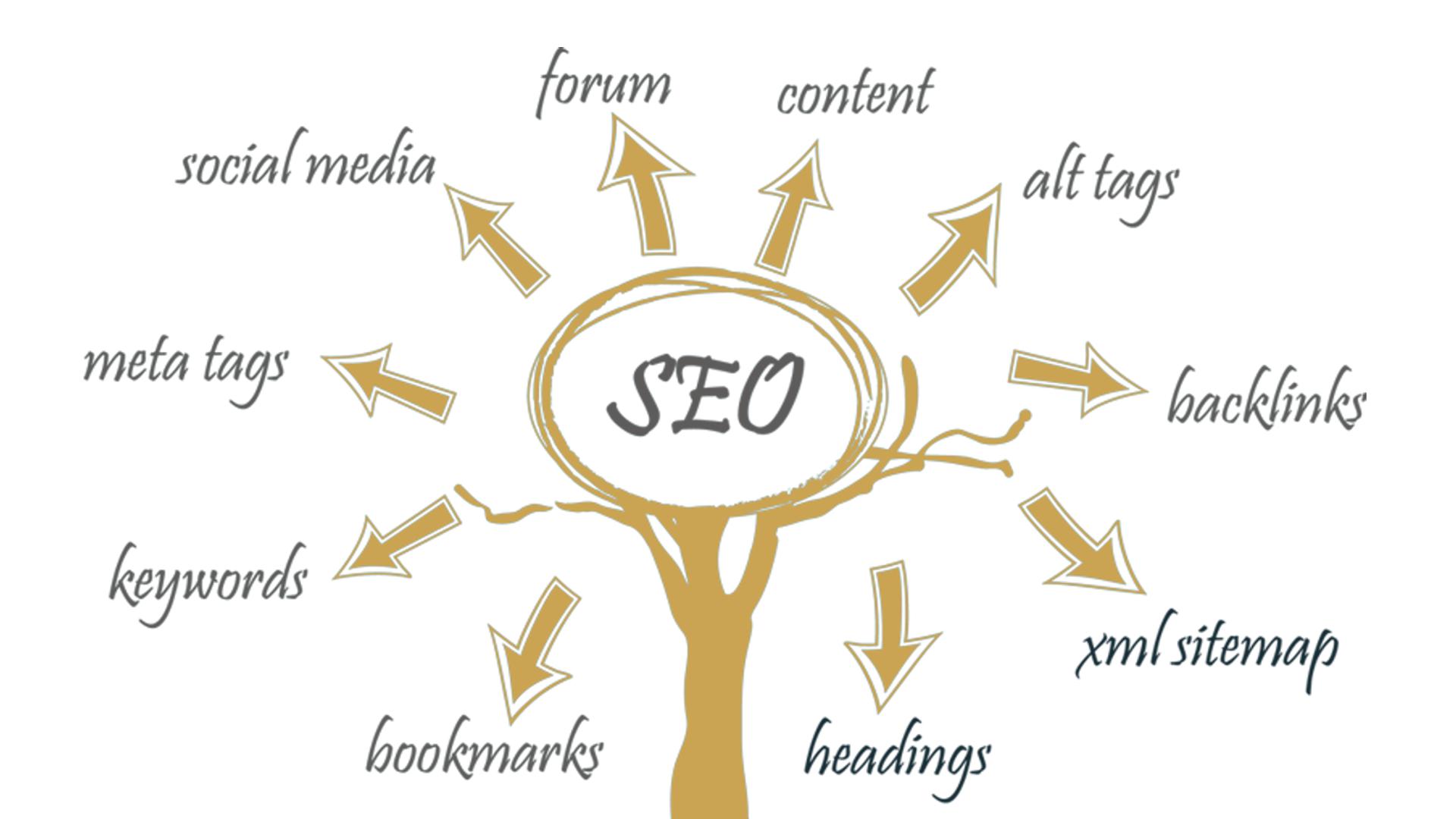 a importância do SEO