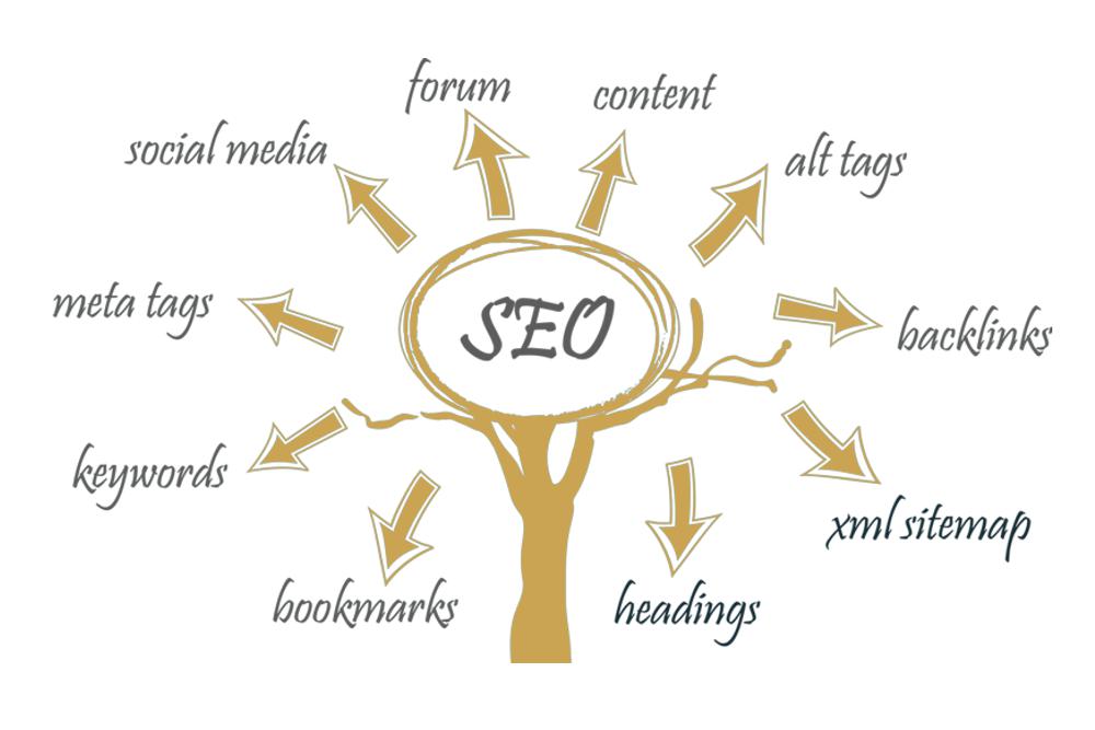 O que é SEO e qual sua Importância